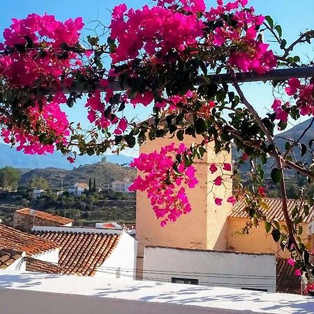 Casa Caballito De Mar Boutique B&B Bédar Εξωτερικό φωτογραφία