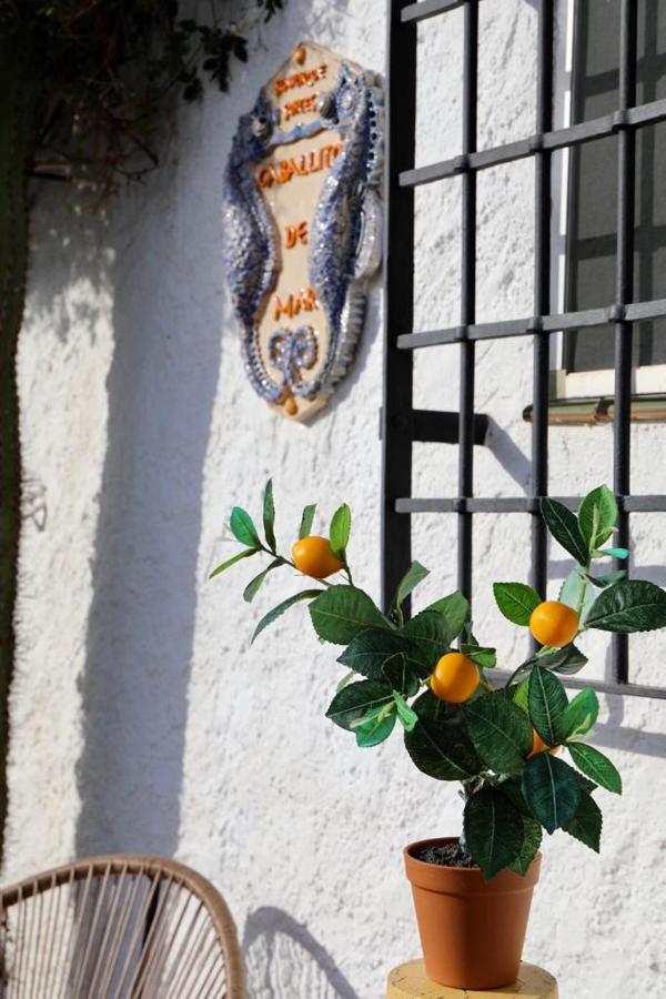 Casa Caballito De Mar Boutique B&B Bédar Εξωτερικό φωτογραφία