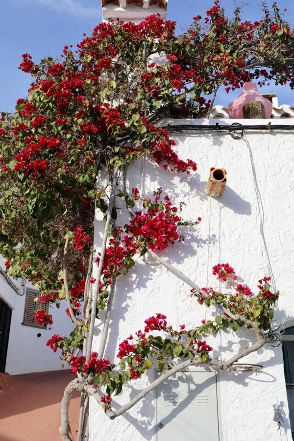 Casa Caballito De Mar Boutique B&B Bédar Εξωτερικό φωτογραφία