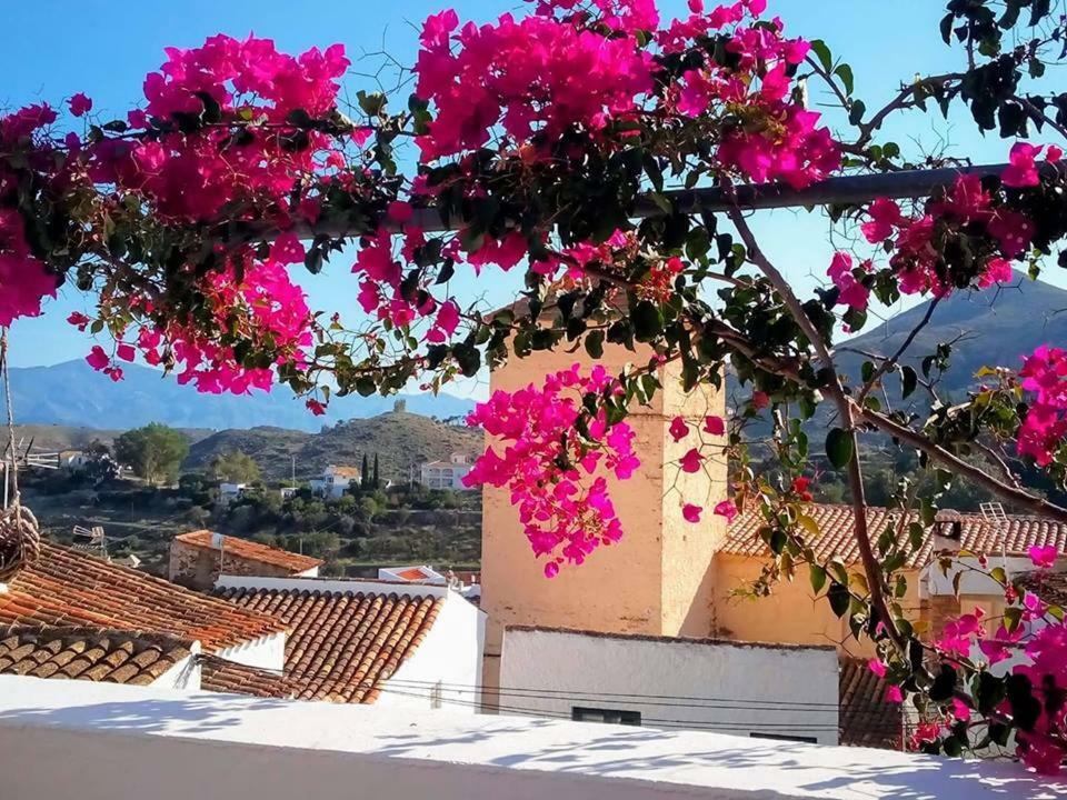 Casa Caballito De Mar Boutique B&B Bédar Εξωτερικό φωτογραφία